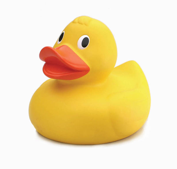 The Rubber Duckie